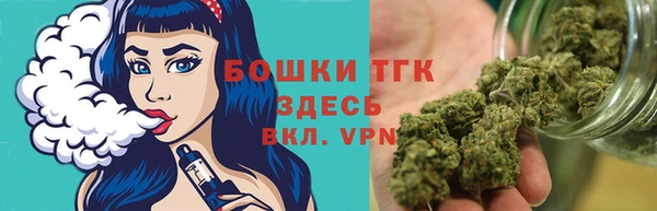 СК Зерноград