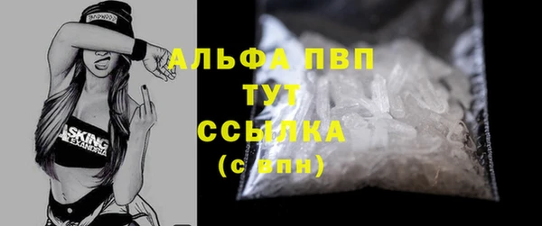 СК Зерноград