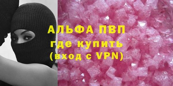 СК Зерноград