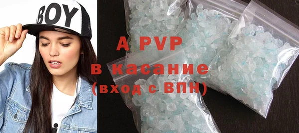 СК Зерноград