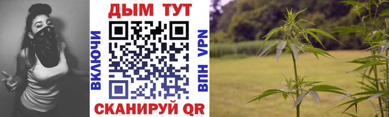 Купить закладки  Плавск  Канабис план 